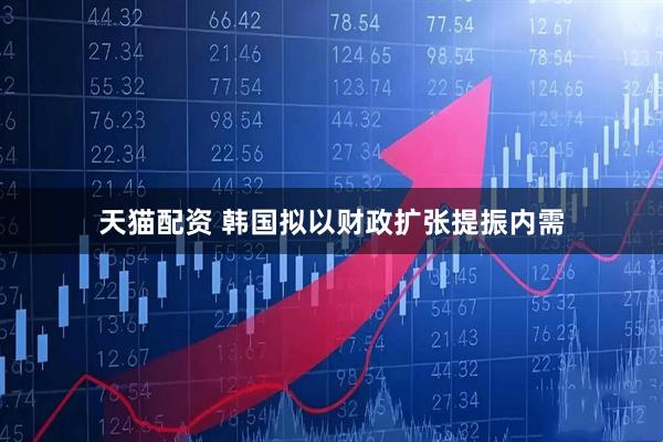 天猫配资 韩国拟以财政扩张提振内需