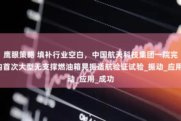 鹰眼策略 填补行业空白，中国航天科技集团一院完成国内首次大型无支撑燃油箱晃振适航验证试验_振动_应用_成功