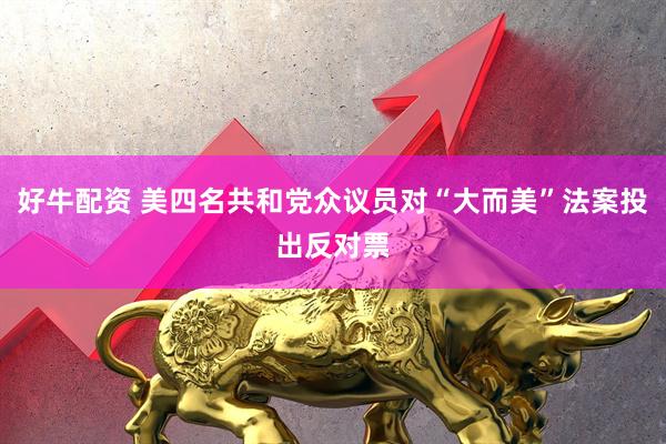 好牛配资 美四名共和党众议员对“大而美”法案投出反对票