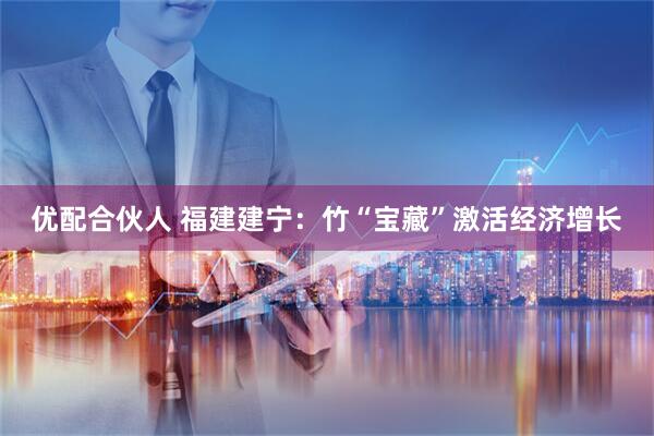 优配合伙人 福建建宁：竹“宝藏”激活经济增长
