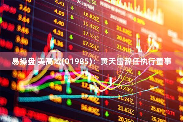 易操盘 美高域(01985)：黄天雷辞任执行董事