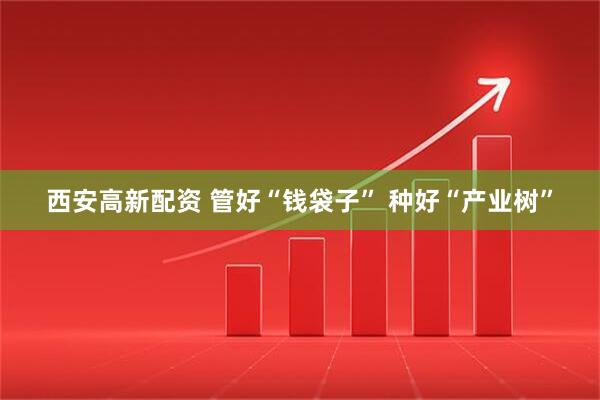 西安高新配资 管好“钱袋子” 种好“产业树”