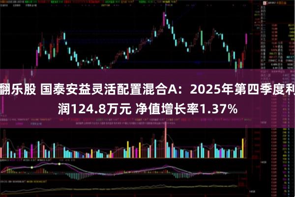 翻乐股 国泰安益灵活配置混合A：2025年第四季度利润124.8万元 净值增长率1.37%